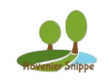 logo Hovenier Snippe -SEOplan Logo Hovenier Snippe - SEO plan en SEO teksten Kienn
